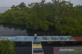 Kawasan Desa Wisata Hutan Mangrove di Morowali Page 2 Small