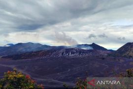 Aktivitas Gunung Bromo didominasi gempa tremor menerus