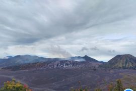 Aktivitas Bromo didominasi gempa tremor menerus