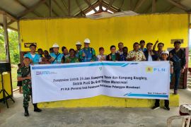Dua kampung di Distrik Prafi Manokwari nikmati listrik