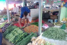 Luas sawah petani Tanah Laut naik jadi 39.000 hektare