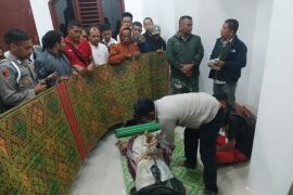 Diamuk gajah liar, wanita paruh baya di Pidie meninggal dunia