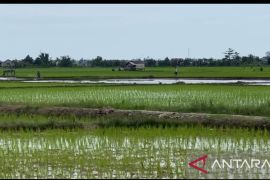 Rugayah reses terima aspirasi terbanyak masalah infrastruktur dan pendidikan