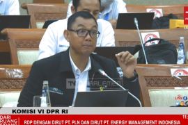 PLN catatkan pendapatan Rp455 triliun pada tahun 2022