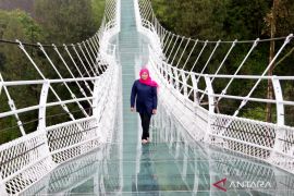 Gubernur Jatim tinjau jembatan kaca di Bromo