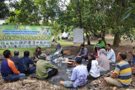 Pemkab Tabalong kendalikan penyakit karet