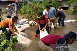 BPBD Tapsel - masyarakat Desa Sibulele gotong royong pasang dek pengaman sungai