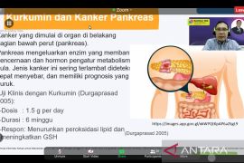 Herbalife luncurkan suplemen berbahan kunyit