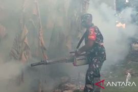 Dinkes Pamekasan cegah penyebaran DBD