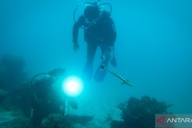 Pemkab Kepulauan Anambas mencanangkan Program Ekonomi Biru