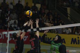 Megawati berhasil bawa Red Sparks ke final V-League setelah 13 Tahun