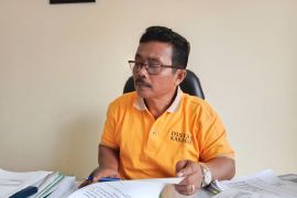 Pemkab Agam usulkan peremajaan kelapa sawit 300 hektare