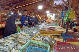 Himpunan nelayan dukung rencana impor ikan untuk Batam