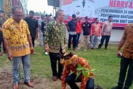 DLH Biak Numfor lakukan penghijauan tanam pohon lindung Sasurep