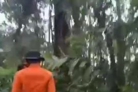 Tim SAR evakuasi jalur darat dekati lokasi kecelakaan helikopter kapolda Jambi