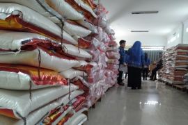 BPS RI: 147 kabupaten/kota alami kenaikan harga beras