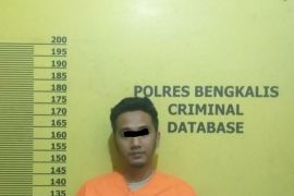 Polisi Bengkalis kembali gagalkan penyelundupan PMI ke Malaysia