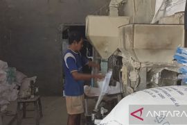 Distan Tabanan bantu petani hadapi gagal panen (video)