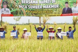 Pj Bupati Mesuji panen raya padi