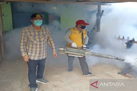 Kasus DBD di Kotabaru terus melandai