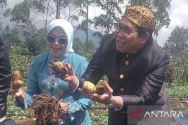 Mendes PDTT contohkan petani kentang asal Desa Pulosari yang bisa ekspor