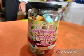 Patut diacungi jempol, Pelajar di Bengkulu olah rumput liar jadi permen antikanker