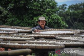 Memanfaatkan singkong sebagai makanan pokok di Kampung Adat Cireundeu