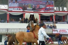 Akhir Februari, Aceh Tengah gelar pacuan kuda HUT ke 446 Kota Takengon