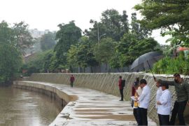 Presiden Jokowi akui Zainudin Amali belum resmi mengundurkan diri