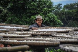 Peralihan Beras Ke Singkong Di Cireundeu Page 1 Small