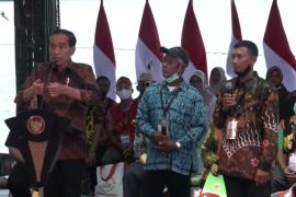 KLHK sebut realisasi perhutanan sosial capai 5,31 juta hektare