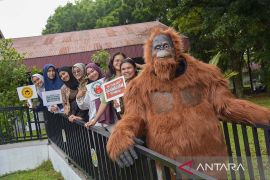 Hari Primata, Belantara dorong kolaborasi jaga primata asli Indonesia 2026