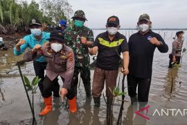 Kawasan hutan mangrove Tanjabbar siap-siap jadi desa wisata