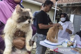 Hewan pun rutin divaksin untuk cegah rabies