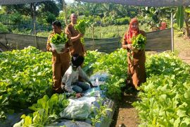Kadistanpan Abdya ajak warga manfaatkan lahan tidur