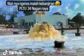 DLHK telusuri dugaan kebocoran pipa air laut di PLTU 3-4 Nagan Raya