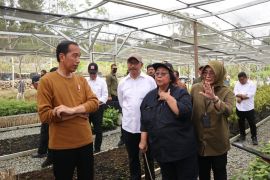 Presiden tekankan pembangunan IKN tetap lindungi orangutan dan bekantan
