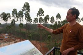 Jokowi tunjukkan lokasi istana kepresidenan di IKN