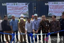 Sepuluh kontainer limbah sawit dari Kaltim siap ekspor  ke Tiongkok