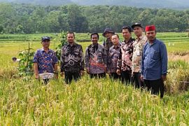 DKP Probolinggo minta petani maksimalkan panen