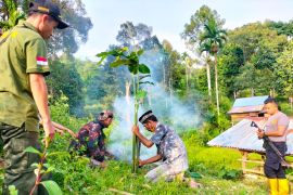 BKSDA datangkan pawang harimau ke Aceh Jaya