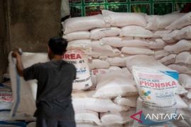 Pemkab Bangkalan selidiki penyebab kelangkaan pupuk bersubsidi