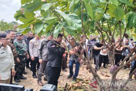 Mentan sebut Tanaman perlu perlakukan khusus untuk hasilkan maksimal