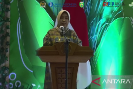 BI: GNPIP jaga keterjangkauan harga pangan tekan inflasi