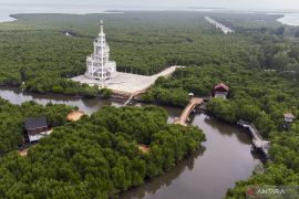 Cara Menuju Hutan Mangrove Kuala Langsa spot travel menarik di Aceh