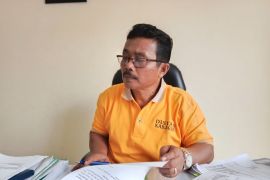 Persediaan beras di Agam mencukupi jelang Ramadhan