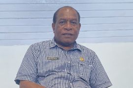 Sejumlah sungai  di Tanah Papua potensi pembangkit listrik