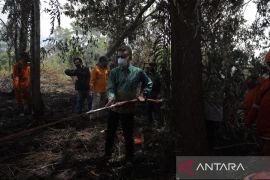 Zulfydar Zaidar Mochtar minta tindak tegas pelaku pembakaran lahan