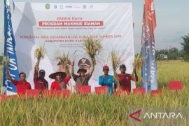 Kaltim kemarin, Panen raya hingga penegasan IKN sebagai teknologi area