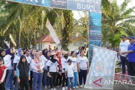 Jalan sehat bersama BUMN